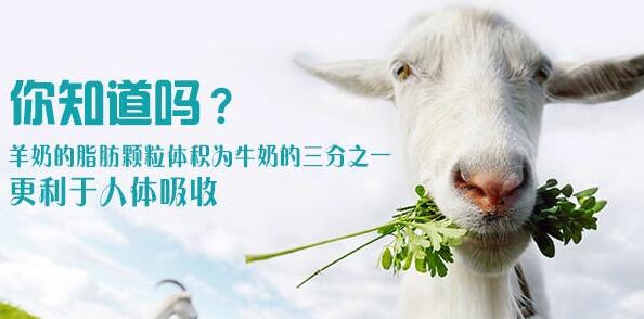 荷兰美素原装进口奶粉_荷兰美素奶粉的配料表_荷兰本土美素奶粉